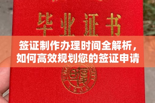 崖州签证制作办理时间全解析，如何高效规划您的签证申请流程