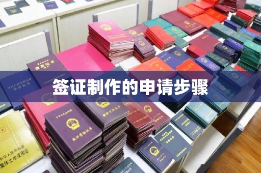 崖州签证制作的申请步骤
