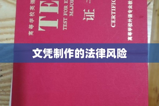 崖州文凭制作的法律风险
