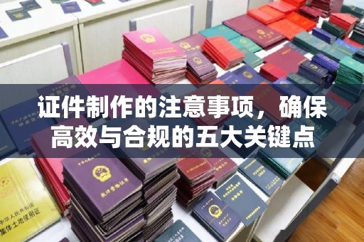 崖州证件制作的注意事项，确保高效与合规的五大关键点
