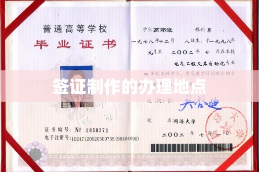崖州签证制作的办理地点