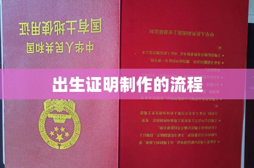 崖州出生证明制作的流程