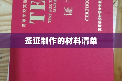 崖州签证制作的材料清单