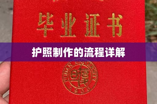 崖州护照制作的流程详解