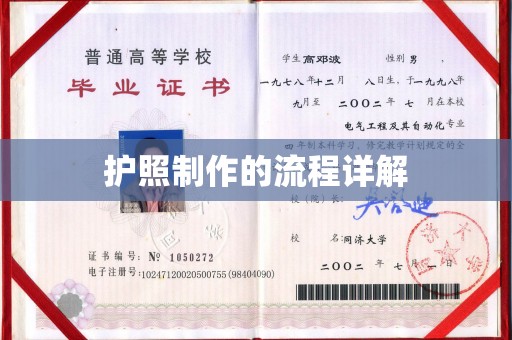 崖州护照制作的流程详解