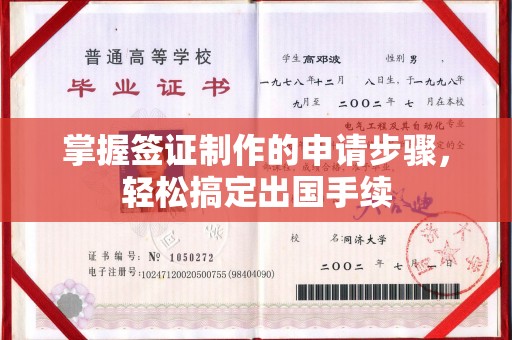 崖州掌握签证制作的申请步骤，轻松搞定出国手续