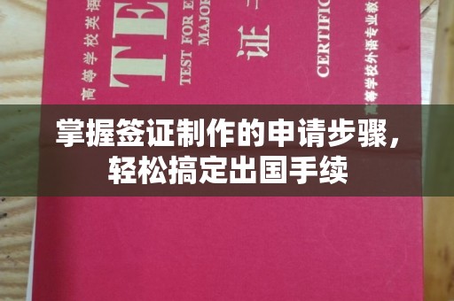 崖州掌握签证制作的申请步骤，轻松搞定出国手续