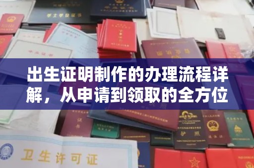 崖州出生证明制作的办理流程详解，从申请到领取的全方位指南
