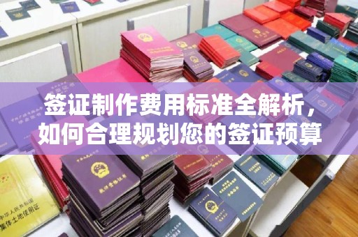 崖州签证制作费用标准全解析，如何合理规划您的签证预算？